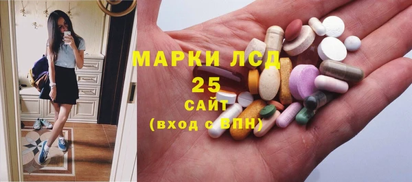 ПСИЛОЦИБИНОВЫЕ ГРИБЫ Новокубанск