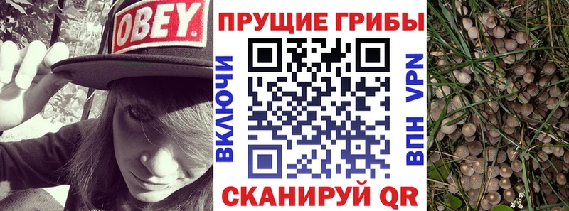 Псилоцибиновые грибы Psilocybine cubensis  Купить где  Белоярский 